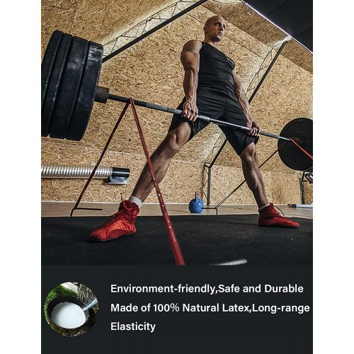  Pull Up Assistance Bands - Eackrola Resistance Bands Set of 6 Monster Heavy Duty Workout Exercise Crossfit Stretch Fitness Bands for Body, Instruction Guide and Carry Bag Included