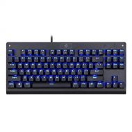 Eagletec KG040 Mechanical Gaming Keyboard Blue LED RGB Backlit Wired with Clicky Blue Switches Equivalent Compact Tenkeyless with 87 Keys for Windows PC (Black)