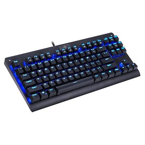  Eagletec KG040 Mechanical Gaming Keyboard Blue LED RGB Backlit Wired with Clicky Blue Switches Equivalent Compact Tenkeyless with 87 Keys for Windows PC (Black)