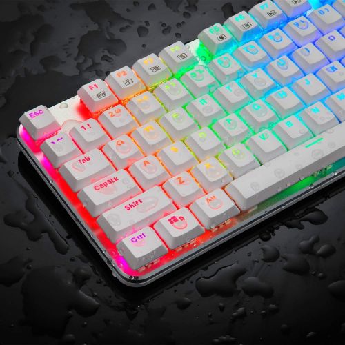  EagleTec KG061-BR RGB Backlit Mechanical Gaming Keyboard Low Profile Mechanical Gamers Keyboard 87 Key Metal Mechanical Computer USB Gaming Keyboard for PC Quiet Cherry Brown Switc