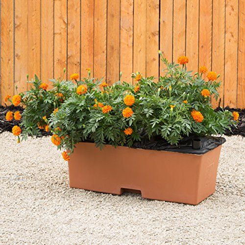  EarthBox Container Gardening System - Terra