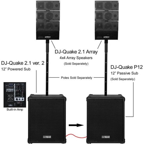  Earthquake Sound DJ-Quake P12 12-inch 1000-Watt Passive Subwoofer