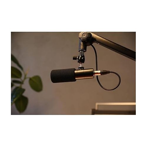  Earthworks ETHOS XLR Broadcasting Microphone, Matte Black