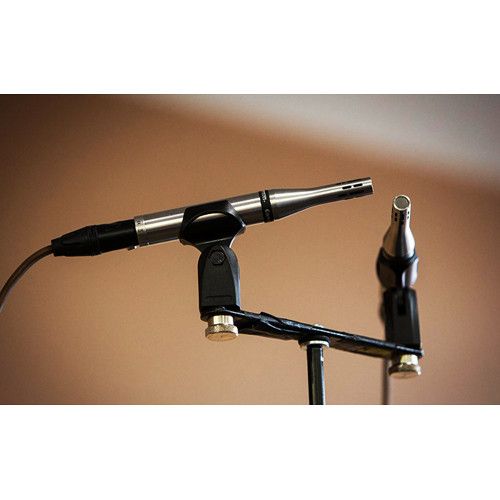  Earthworks SR25 Studio Condenser Microphone (Single Microphone)