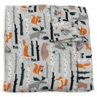 Earthy Organic Muslin Baby Toddler Blanket Swaddle 100% Organic Cotton (Athena - 1 Layer, 48 x 48)