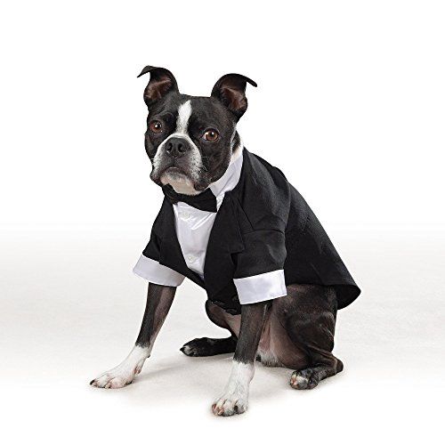  East Side Collection Yappily Ever After Grooms Tuxedo for Dogs, 8 XXS