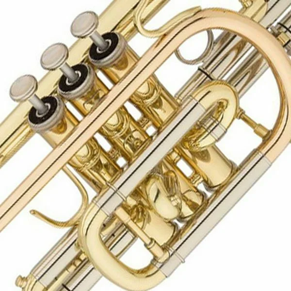  Eastman ECN421 Student Series Bb Cornet - Clear Lacquer