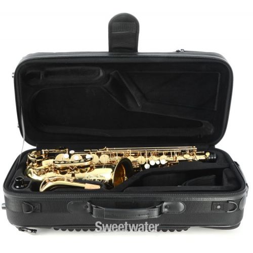  Eastman EAS650 Rue Saint-George Alto Saxophone - Standard Keywork