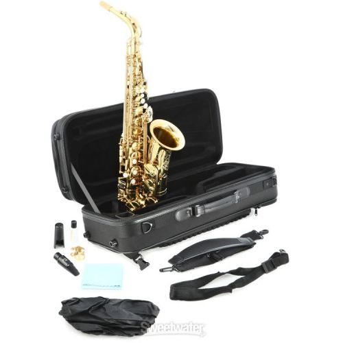  Eastman EAS650 Rue Saint-George Alto Saxophone - Standard Keywork