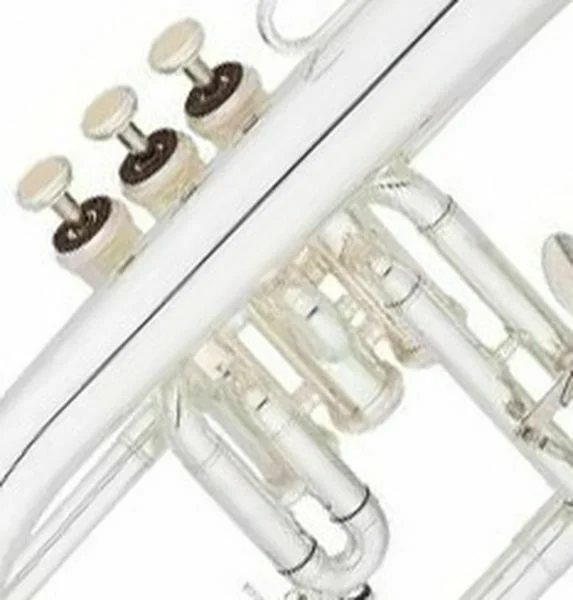  Eastman EFG412S Student Series Bb Flugelhorn - Silver-plated