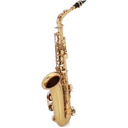  Eastman EAS850 Rue Saint-George Alto Saxophone with DS Mechanism - Gold Lacquer