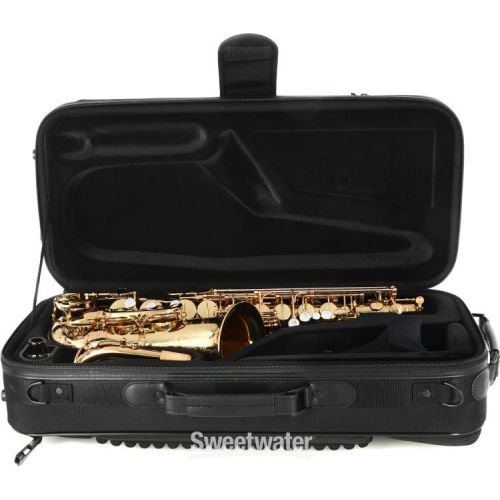  Eastman EAS850 Rue Saint-George Alto Saxophone with DS Mechanism - Gold Lacquer