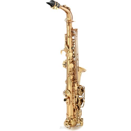  Eastman EAS850 Rue Saint-George Alto Saxophone with DS Mechanism - Gold Lacquer