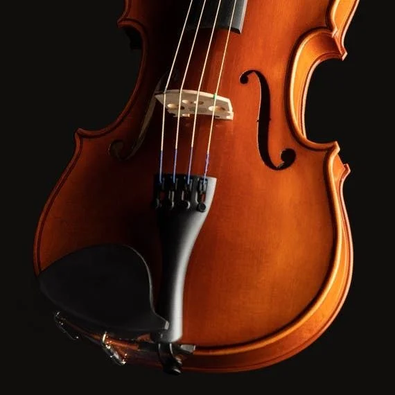  Eastman VL100 Samuel Eastman Student Violin Outfit - 1/8-size