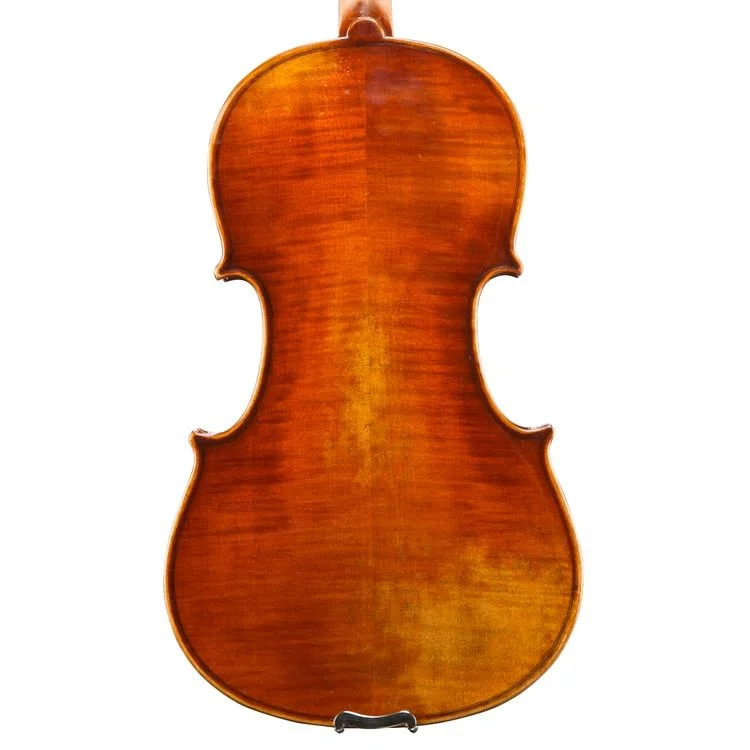  Eastman VA701 Rudoulf Doetsch Professional Viola - 16-inch