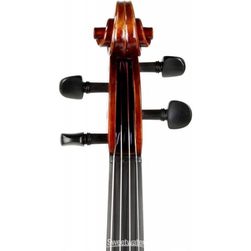  Eastman VA701 Rudoulf Doetsch Professional Viola - 16-inch