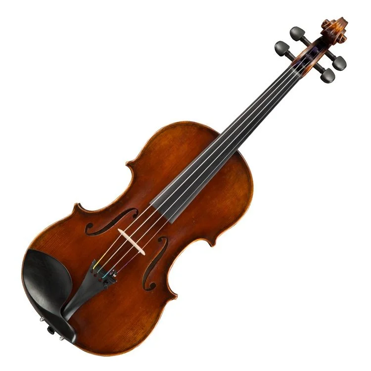  Eastman VL401 Ivan Dunov Intermediate Violin - 4/4 Size