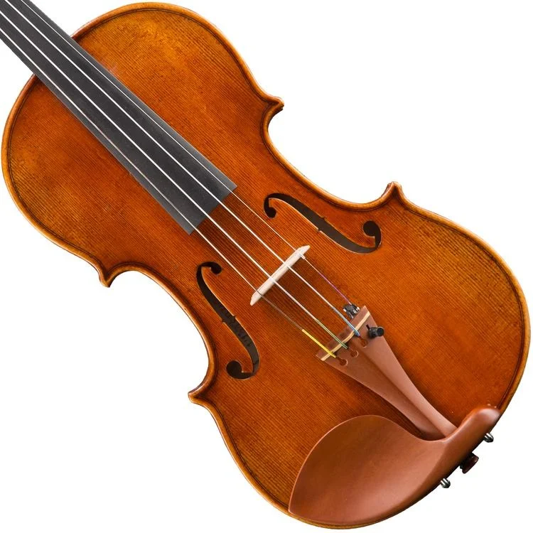  Eastman VL928 Raul Emiliani Professional Violin - 4/4 Size