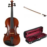 Eastman VL701 Rudoulf Doetsch Professional Violin Outfit - 4/4 Size