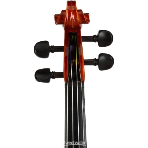  Eastman VL100 Samuel Eastman Student Violin Outfit - 1/4-size