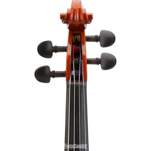  Eastman SWVA100 Student Viola Outfit - 12 inch