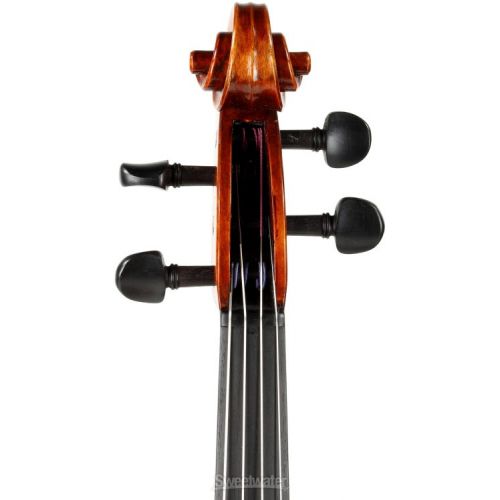  Eastman VA701 Rudoulf Doetsch Professional Viola - 16.5-inch