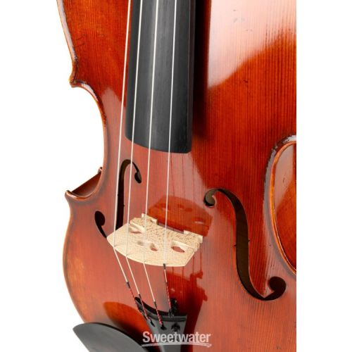  Eastman VA701 Rudoulf Doetsch Professional Viola - 16.5-inch