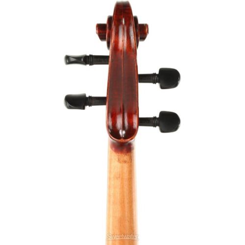  Eastman VA401 Ivan Dunov Intermediate Viola - 15.5-inch