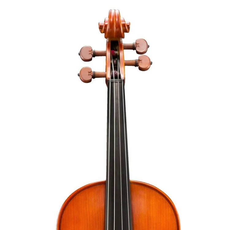  Eastman VA200 Andreas Eastman Intermediate Viola - 15-inch