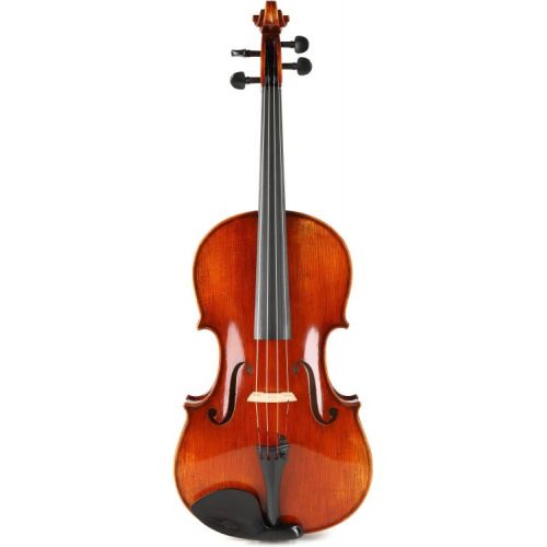  Eastman VA701 Rudoulf Doetsch Professional Viola Outfit - 16.5-inch