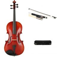 Eastman VA401 Ivan Dunov Intermediate Viola - 16.5-inch - Outfit