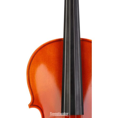  Eastman SWVA100 Student Viola Outfit - 16-inch Demo