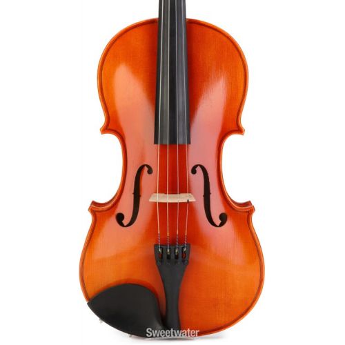  Eastman SWVA100 Student Viola Outfit - 16-inch Demo