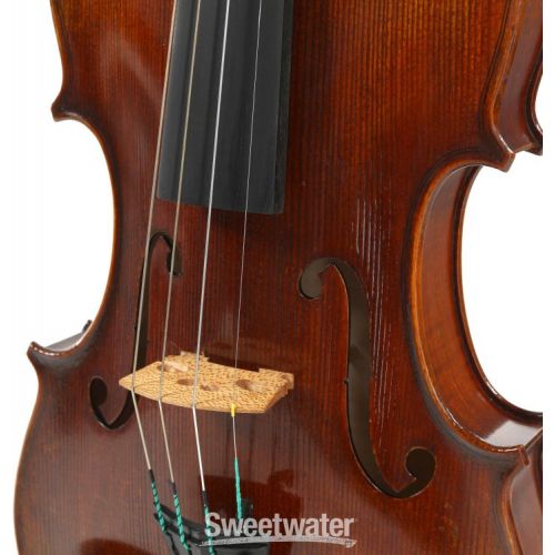  Eastman VL701 Rudoulf Doetsch Professional Violin - 4/4 Size Demo