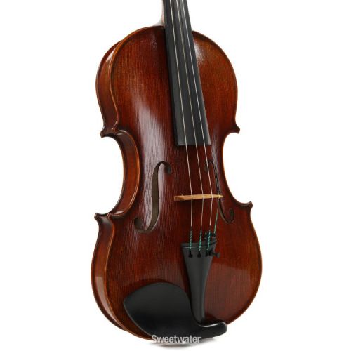  Eastman VL701 Rudoulf Doetsch Professional Violin - 4/4 Size Demo