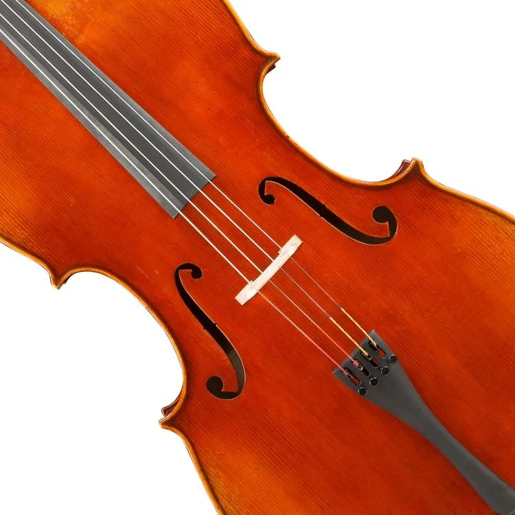  Eastman VC703 Frederich Wyss Professional Cello - 4/4 Size