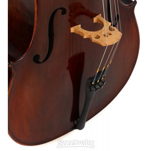  Eastman VC305 Andreas Eastman Intermediate Cello - 3/4 Size