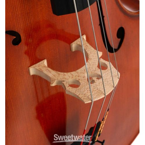  Eastman VC702 Wilhelm Klier Professional Cello - 4/4 Size, Guarneri