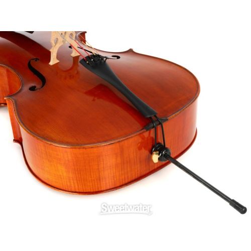  Eastman VC702 Wilhelm Klier Professional Cello - 4/4 Size, Guarneri