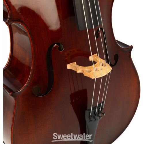  Eastman VC305 Andreas Eastman Intermediate Cello - 4/4 Size