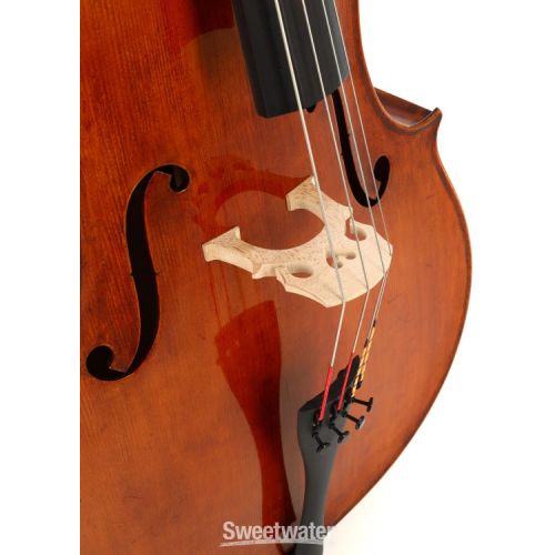  Eastman VC928 Raul Emiliani Professional Cello - 4/4 Size