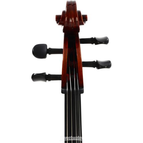  Eastman VC701 Rudoulf Doetsch Professional Cello - 4/4 Size