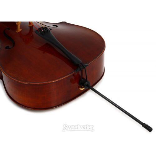  Eastman VC701 Rudoulf Doetsch Professional Cello - 4/4 Size