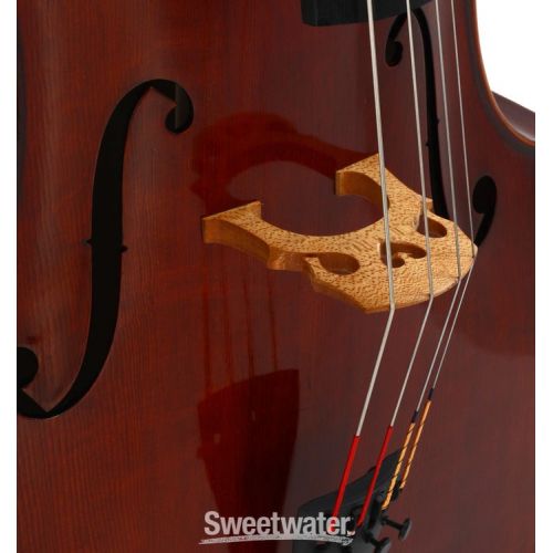  Eastman VC701 Rudoulf Doetsch Professional Cello - 4/4 Size