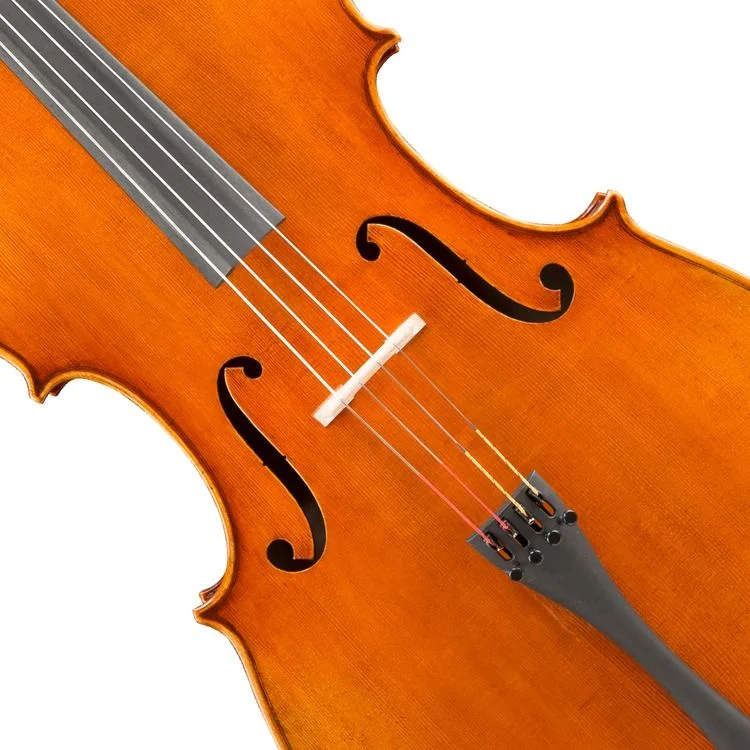  Eastman Master VC906 Professional Cello - 4/4 Size