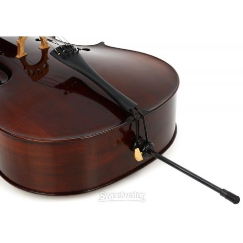  Eastman VC305 Andreas Eastman Intermediate Cello - 4/4 Size Demo