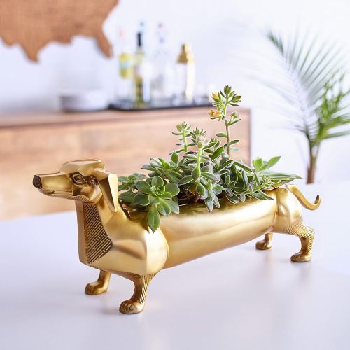  Easy Tiger 1EZR1442 Heavyweight Brass Wiener Dog Planter, Dachshund