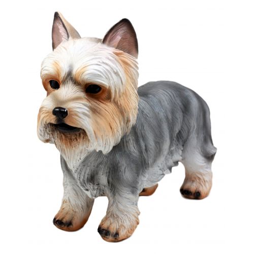  Ebros Gift Groomed Adorable Yorkshire Terrier Dog Statue 7.75L Realistic Yorkie Decorative Figurine Sculpture