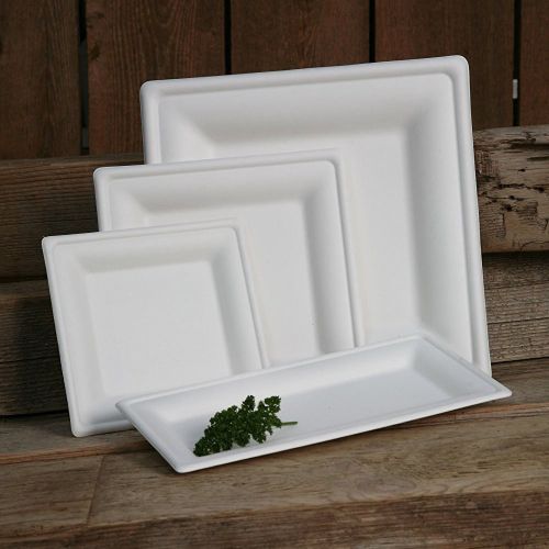  Eco-Products, Inc Eco-Products Renewable & Compostable Square Sugarcane Plates, 8-inch Dinner Plate, Case of 500 (EP-P022)