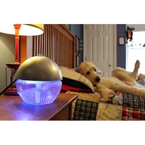  [아마존베스트]EcoGecko Earth Globe- Glowing Water Air Washer and Revitalizer with Lavender Oil, Silver